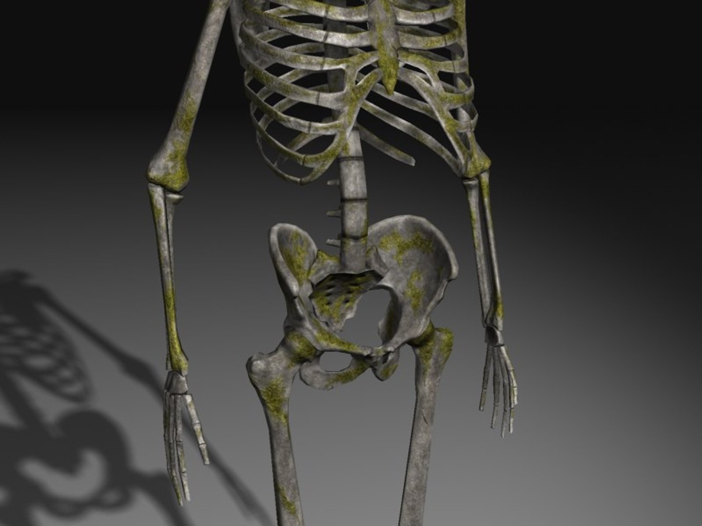 3d nextgen skeletons model https://p.turbosquid.com/ts-thumb/n4/kywguJ/1de4MfCY/scr04/jpg/1298241879/1920x1080/fit_q87/47807945a255d8876ce96b5e5cb978210369dba6/scr04.jpg