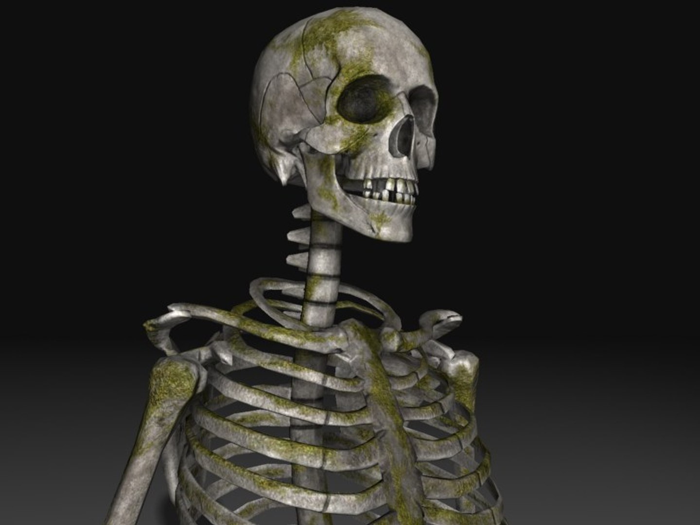3d nextgen skeletons model https://p.turbosquid.com/ts-thumb/n4/kywguJ/21YcuCBx/scr01/jpg/1298241879/1920x1080/fit_q87/88f55749d1de73974cd5cc457e1f31bb9d2592d2/scr01.jpg