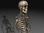 Skeleton Collection