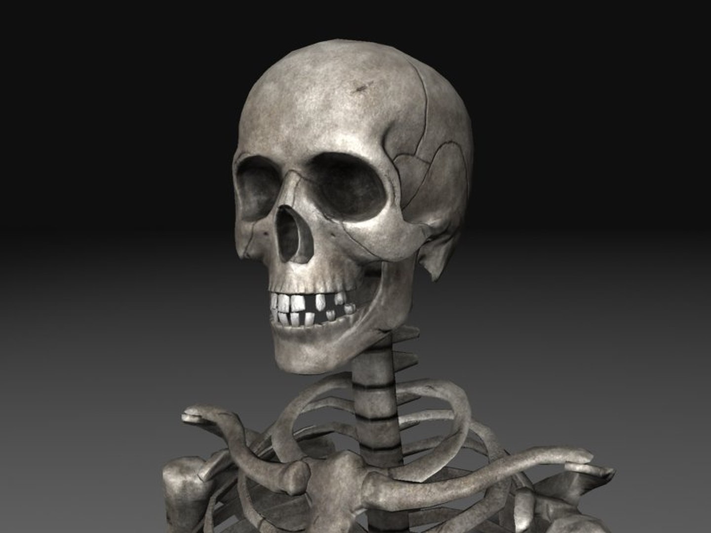 3d nextgen skeletons model https://p.turbosquid.com/ts-thumb/n4/kywguJ/KsgtD30X/scr01/jpg/1298241947/1920x1080/fit_q87/75a9b24325ffff01ce712198137a70f663d7be8d/scr01.jpg