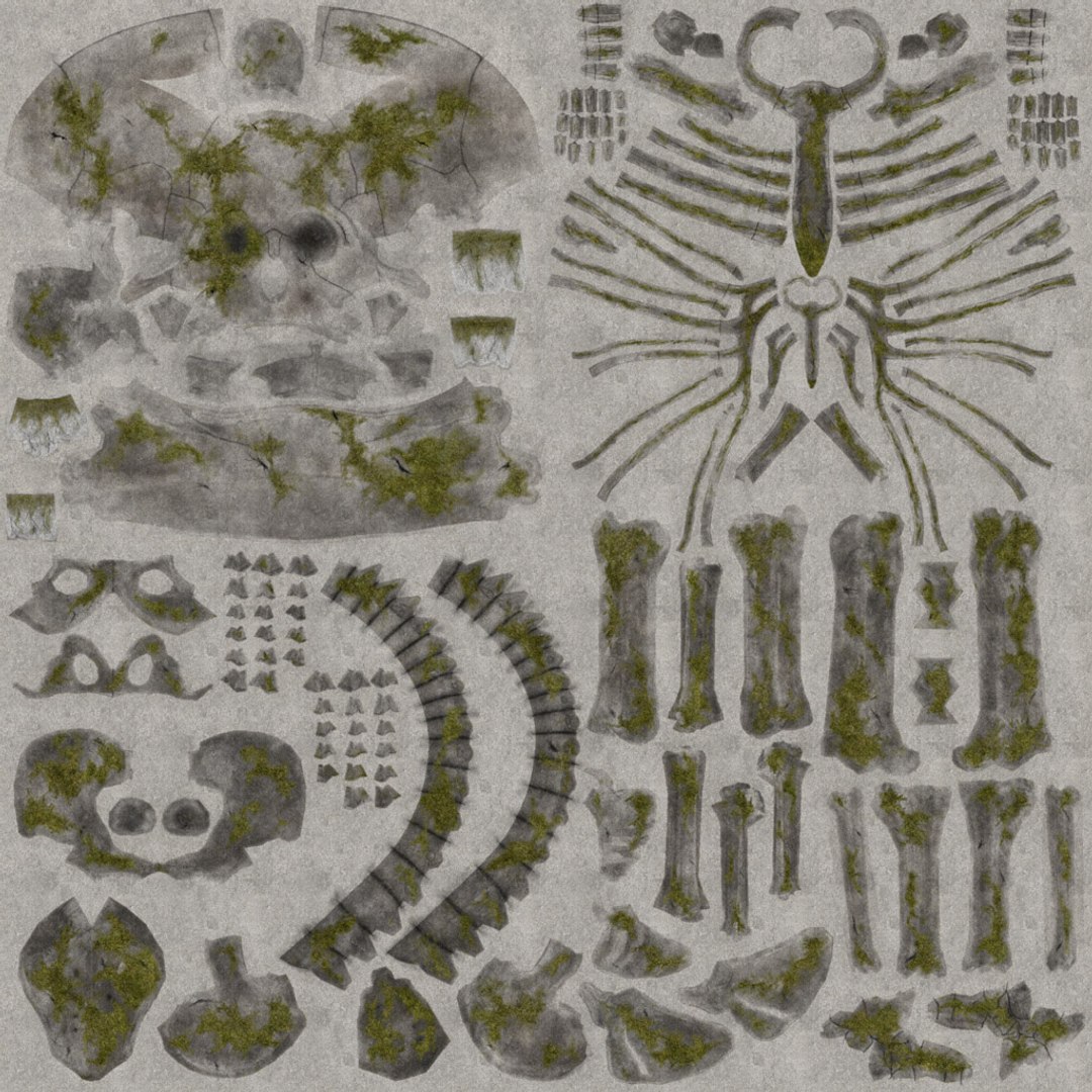 3d nextgen skeletons model https://p.turbosquid.com/ts-thumb/n4/kywguJ/RB3pr4wT/diffmap_preview/jpg/1298242084/1920x1080/fit_q87/e0f90eb765f1f99961f730bea107a0ad88565d70/diffmap_preview.jpg