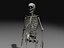 Skeleton Collection