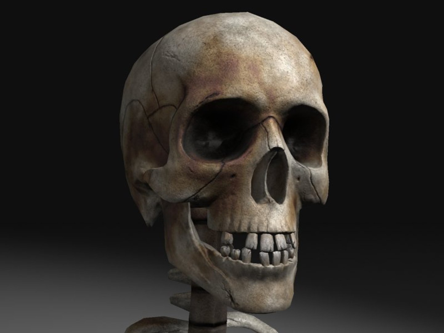 3d nextgen skeletons model https://p.turbosquid.com/ts-thumb/n4/kywguJ/YMN2UFhd/scr03/jpg/1298241832/1920x1080/fit_q87/23a78cd69bc61c851bd17ee629e8af4479c7a1ef/scr03.jpg