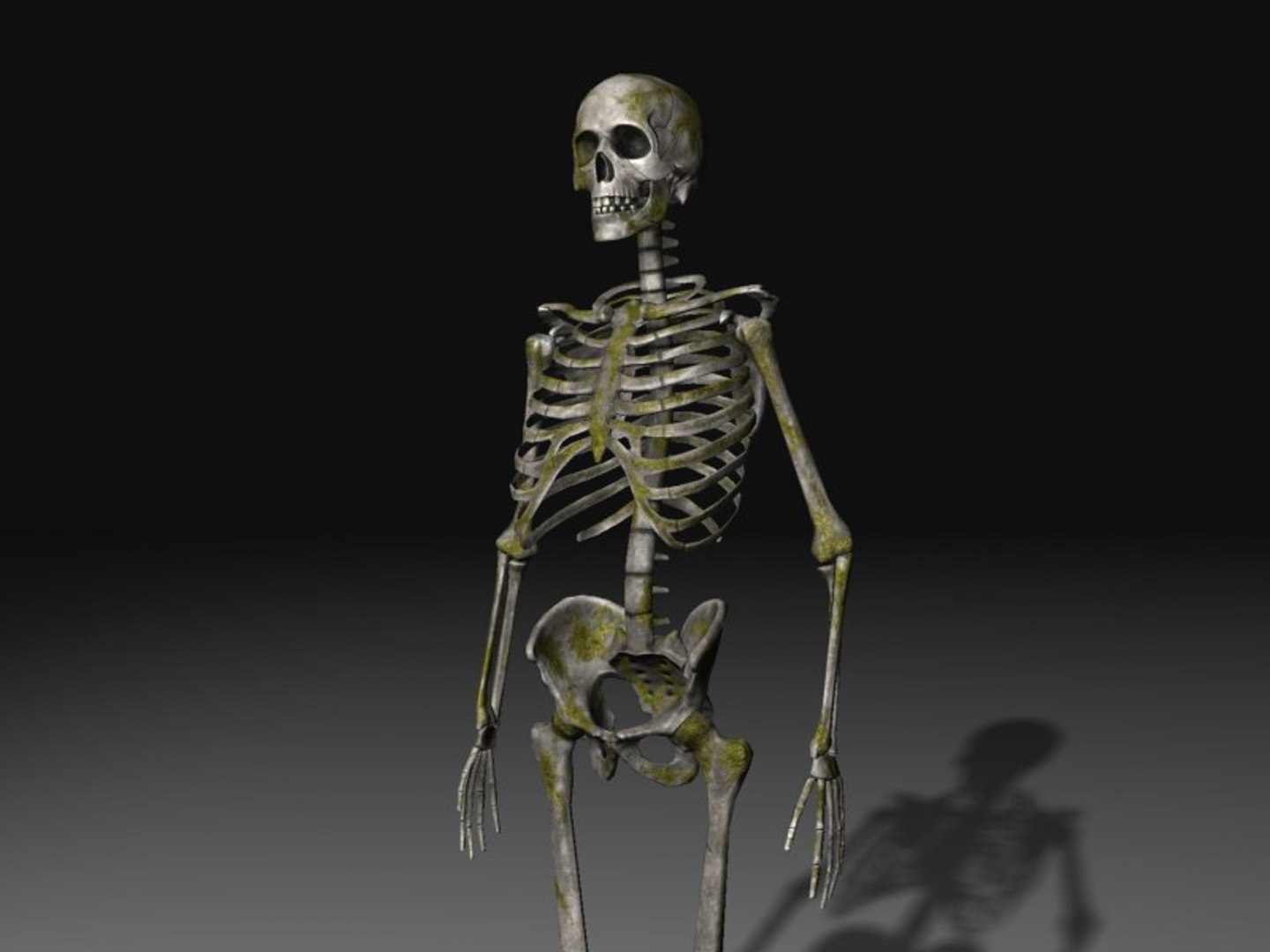 3d nextgen skeletons model https://p.turbosquid.com/ts-thumb/n4/kywguJ/Z2yudaUx/scr02/jpg/1298241879/1920x1080/fit_q87/009b83c0ca3774805dd67f4f7a68da48b243463a/scr02.jpg