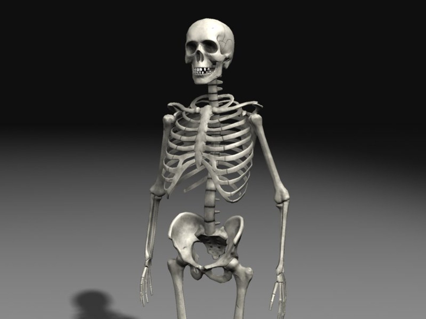 3d nextgen skeletons model https://p.turbosquid.com/ts-thumb/n4/kywguJ/hBCLyRPp/scr02/jpg/1298241760/1920x1080/fit_q87/82e329b521a96f9c7d2225edfb91bee3009cb887/scr02.jpg