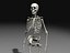Skeleton Collection