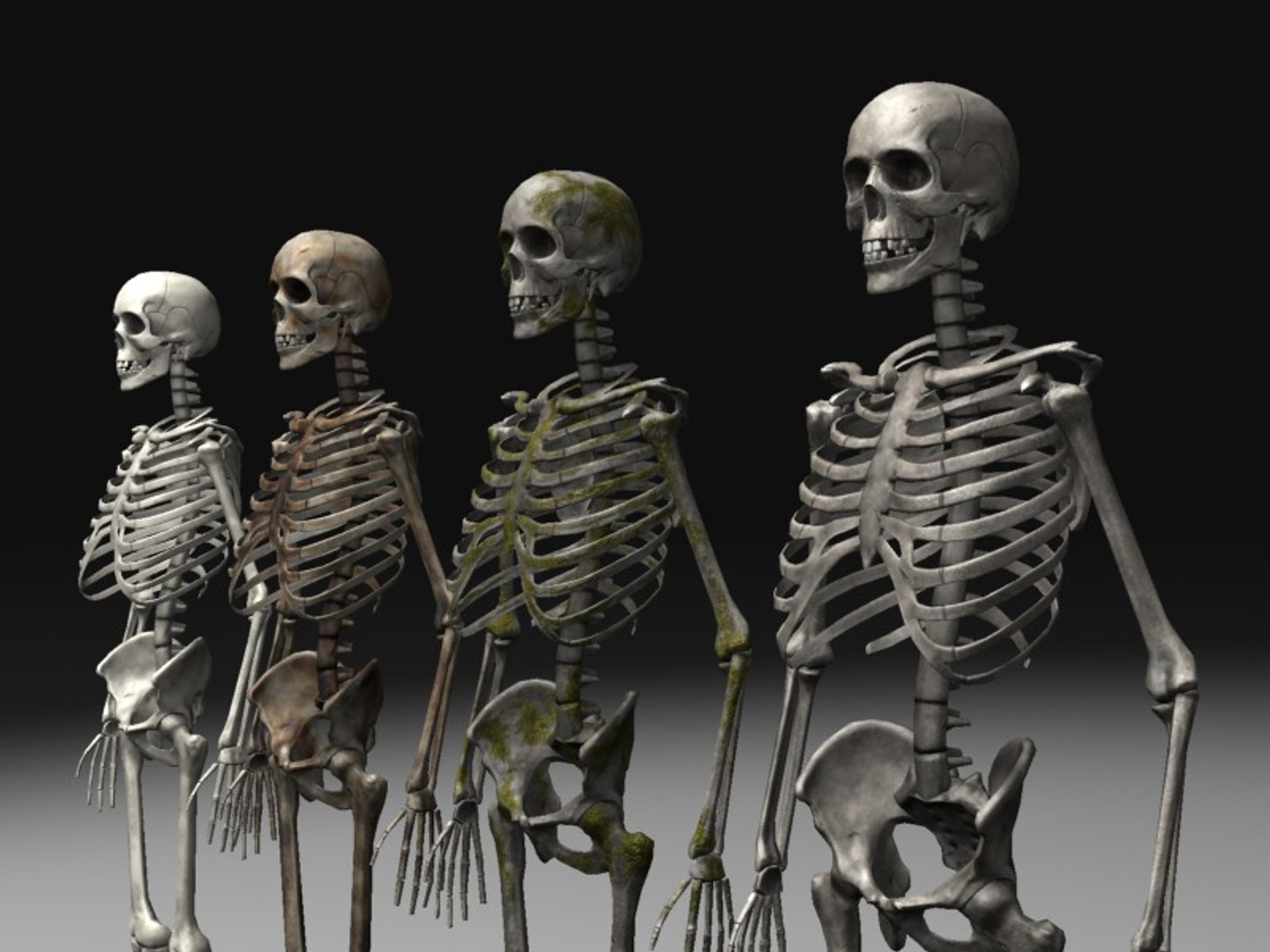 3d nextgen skeletons model https://p.turbosquid.com/ts-thumb/n4/kywguJ/mi2b00aD/g_scr1/jpg/1298241693/1920x1080/fit_q87/9bc0d54a3286c70f6c094f6a6ae9f89a5caf40dd/g_scr1.jpg