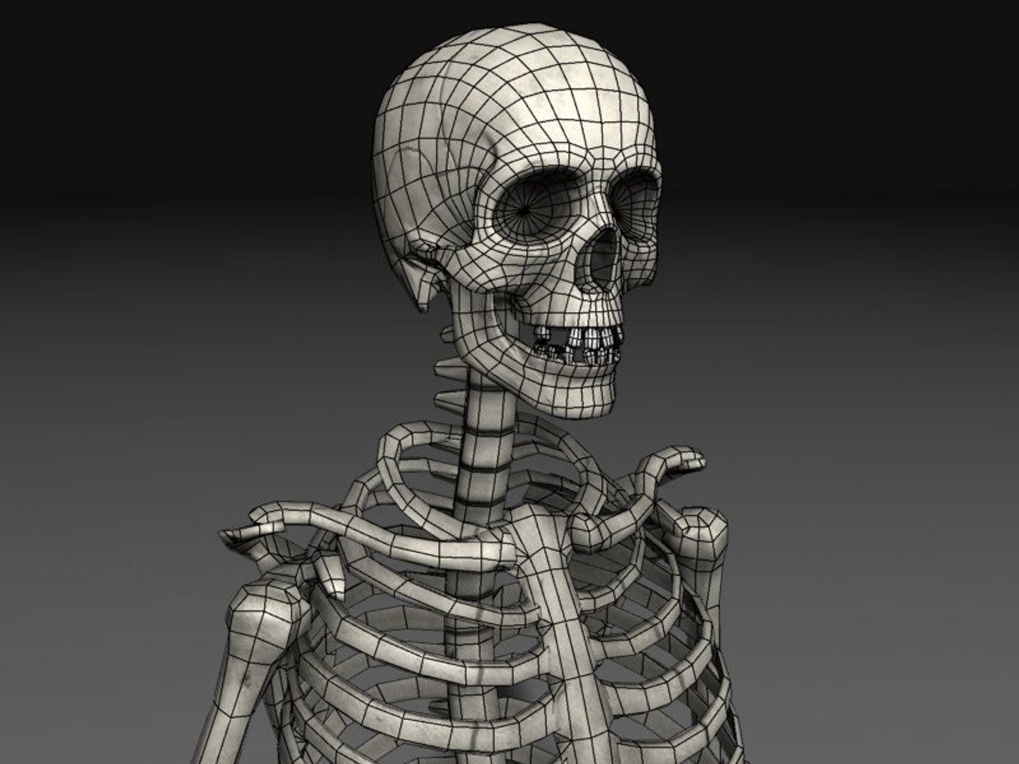 3d nextgen skeletons model https://p.turbosquid.com/ts-thumb/n4/kywguJ/mqbQ3NlB/scr01_wire/jpg/1298241760/1920x1080/fit_q87/d4ba4f1f1023c80bb81f40496adf3172b202780c/scr01_wire.jpg