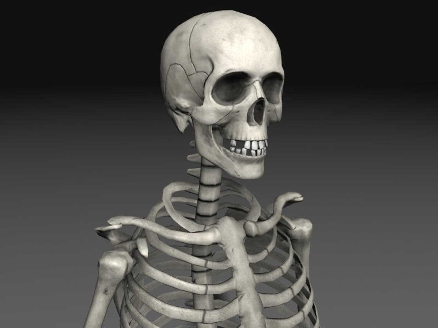 3d nextgen skeletons model https://p.turbosquid.com/ts-thumb/n4/kywguJ/sRz0LBCw/scr01/jpg/1298241760/1920x1080/fit_q87/1d4687248b856dc5e14da4953a2195be3f4bc88d/scr01.jpg