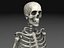 Skeleton Collection