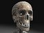 Skeleton Collection
