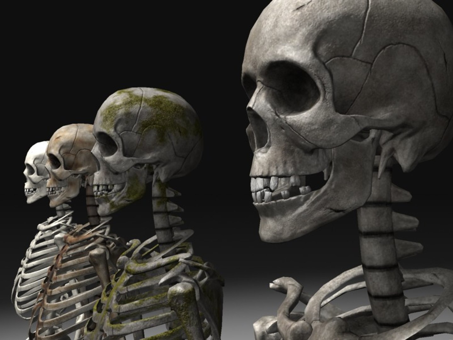 3d nextgen skeletons model https://p.turbosquid.com/ts-thumb/n4/kywguJ/udxFIKi8/g_scr2/jpg/1298241693/1920x1080/fit_q87/7711b8f5a5f2c546b156a887c704ccd14c1b135d/g_scr2.jpg