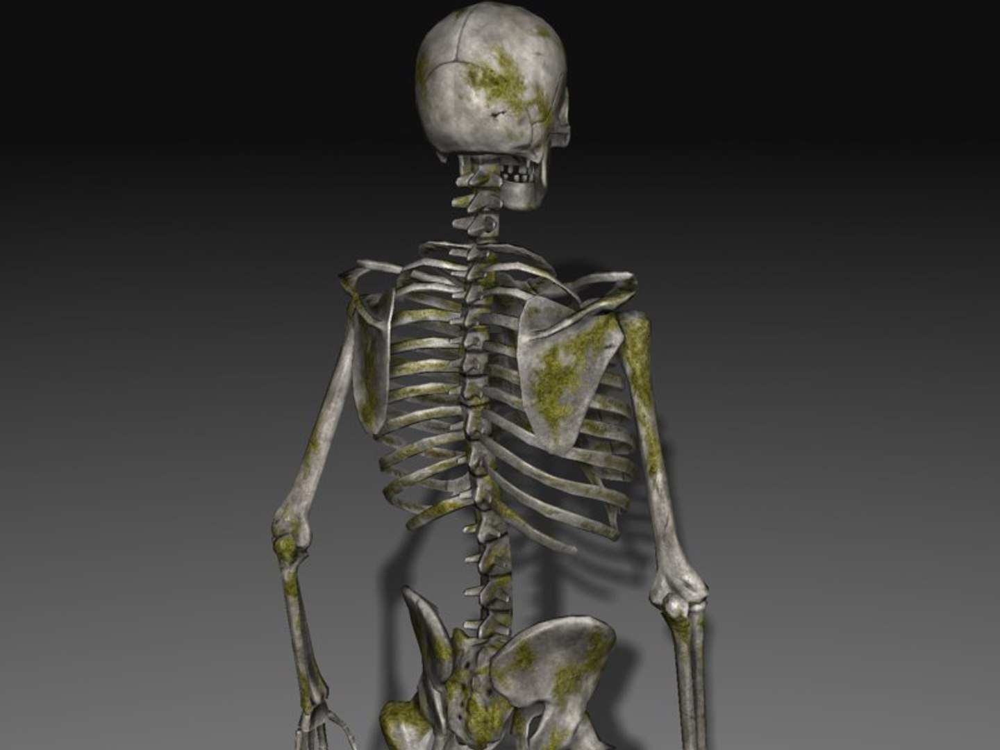 3d nextgen skeletons model https://p.turbosquid.com/ts-thumb/n4/kywguJ/yRbPv43C/scr03/jpg/1298241879/1920x1080/fit_q87/391e404962f5b7adf9c78e5c2b3772c49a725100/scr03.jpg