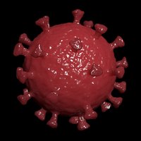 Coronavirus Covid-19