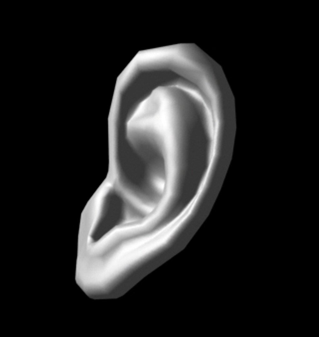 Human Ear Obj Free