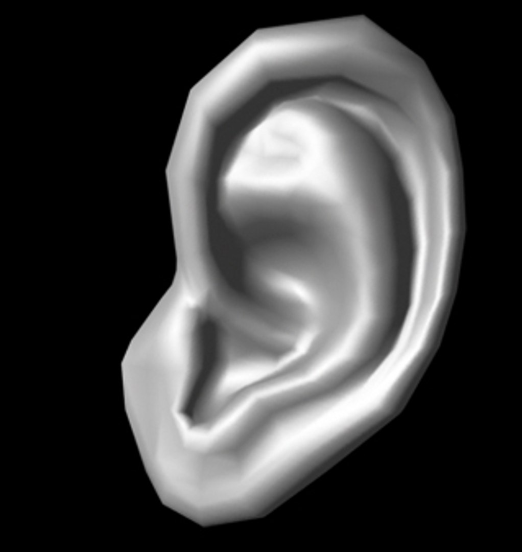 human ear obj free https://p.turbosquid.com/ts-thumb/n4/p5w1Od/VJmvl5U4/4/jpg/1251267945/1920x1080/fit_q87/208b65e61bcb7fda70402cbc7a0cff5a5d5a14d1/4.jpg
