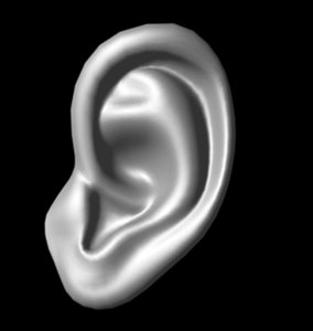 Human Ear .obj format