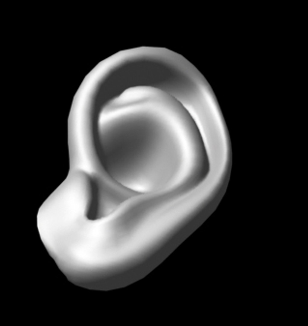 human ear obj free https://p.turbosquid.com/ts-thumb/n4/p5w1Od/hn3MSPXg/8/jpg/1251267969/1920x1080/fit_q87/981f780c2cb00b940d16027b75451e71f4b61287/8.jpg