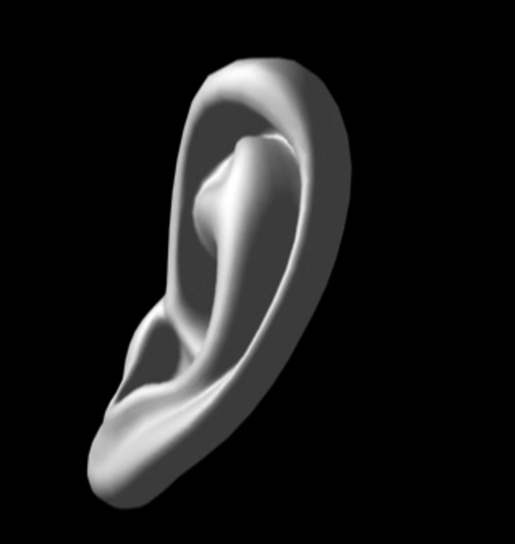 human ear obj free https://p.turbosquid.com/ts-thumb/n4/p5w1Od/ngKuK4pS/10/jpg/1251267926/1920x1080/fit_q87/25777ac64c3b93a7b68b0419a9bb3753f522b2a1/10.jpg