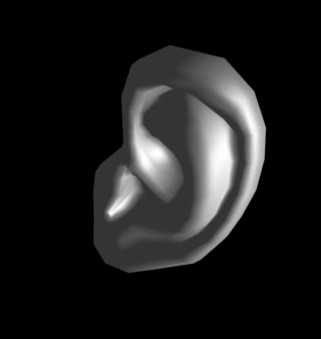 human ear obj free https://p.turbosquid.com/ts-thumb/n4/p5w1Od/vBajg6Pq/7/jpg/1251267963/1920x1080/fit_q87/c76e7a2f61c461181e936045dd3ed2a1709e3ed4/7.jpg
