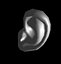 Human Ear .obj format