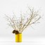 realistic chrysanthemums prunus branches 3D model