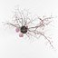 realistic chrysanthemums prunus branches 3D model