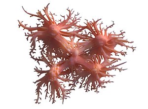 cancer cell 3D model