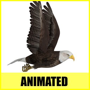 Eagle - Animated