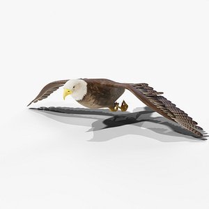 Flying Bald Eagle - Rigged Animated PBR