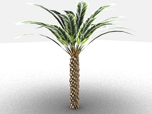 3D palm tree