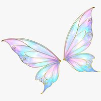 Fairy Wings