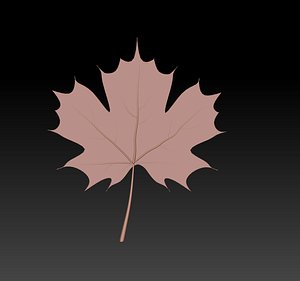 maple leaf 3D