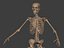 3D human skeleton model