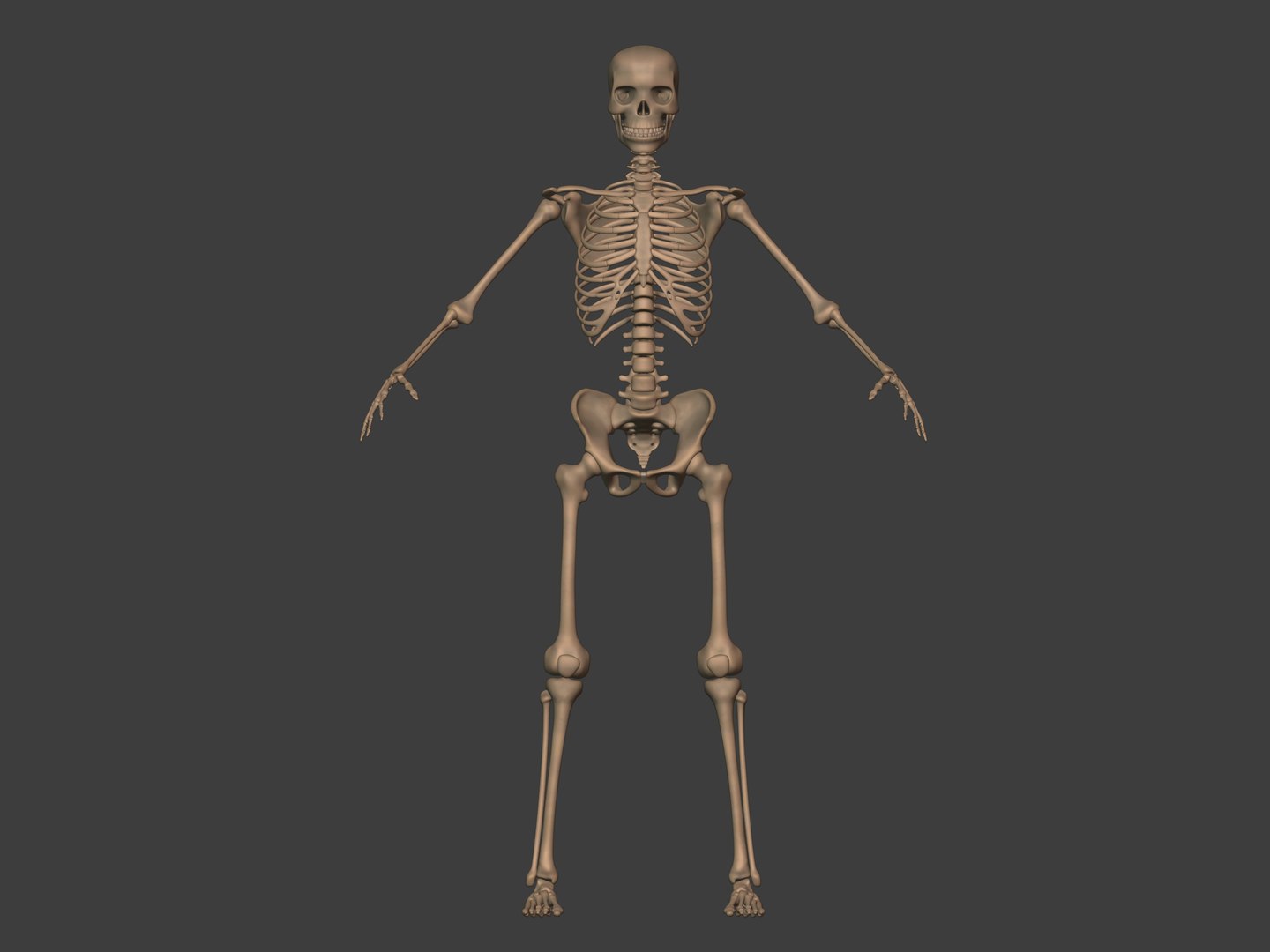 3D human skeleton model https://p.turbosquid.com/ts-thumb/n5/jdyZTR/AY/i8/jpg/1758050481/1920x1080/fit_q87/5f73573580a7a43ebdb306b2fa6a2a694c58d17f/i8.jpg