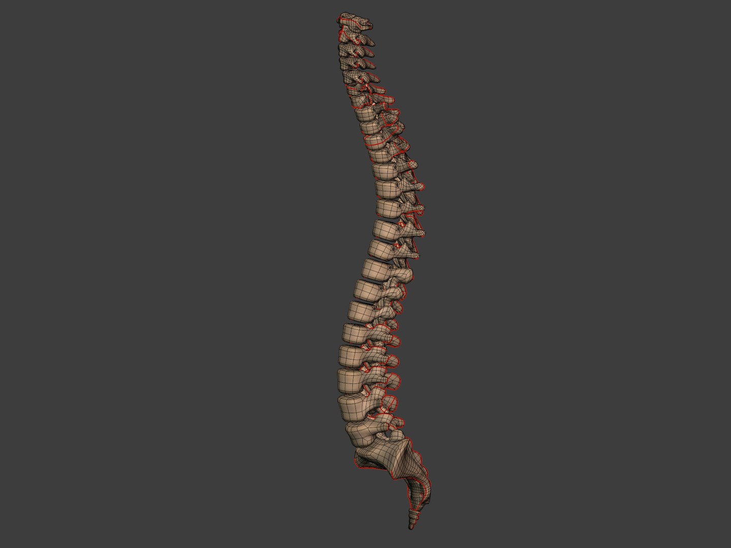 3D human skeleton model https://p.turbosquid.com/ts-thumb/n5/jdyZTR/Ad/i15/jpg/1758050484/1920x1080/fit_q87/b3c60280af7039abb5cfdff6995f951f5efeaf86/i15.jpg