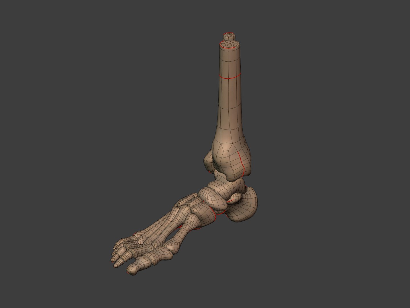 3D human skeleton model https://p.turbosquid.com/ts-thumb/n5/jdyZTR/R4/i13/jpg/1758050483/1920x1080/fit_q87/350d37a579d49db9e83b29f71e32d3ee0b785126/i13.jpg