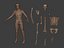 3D human skeleton model