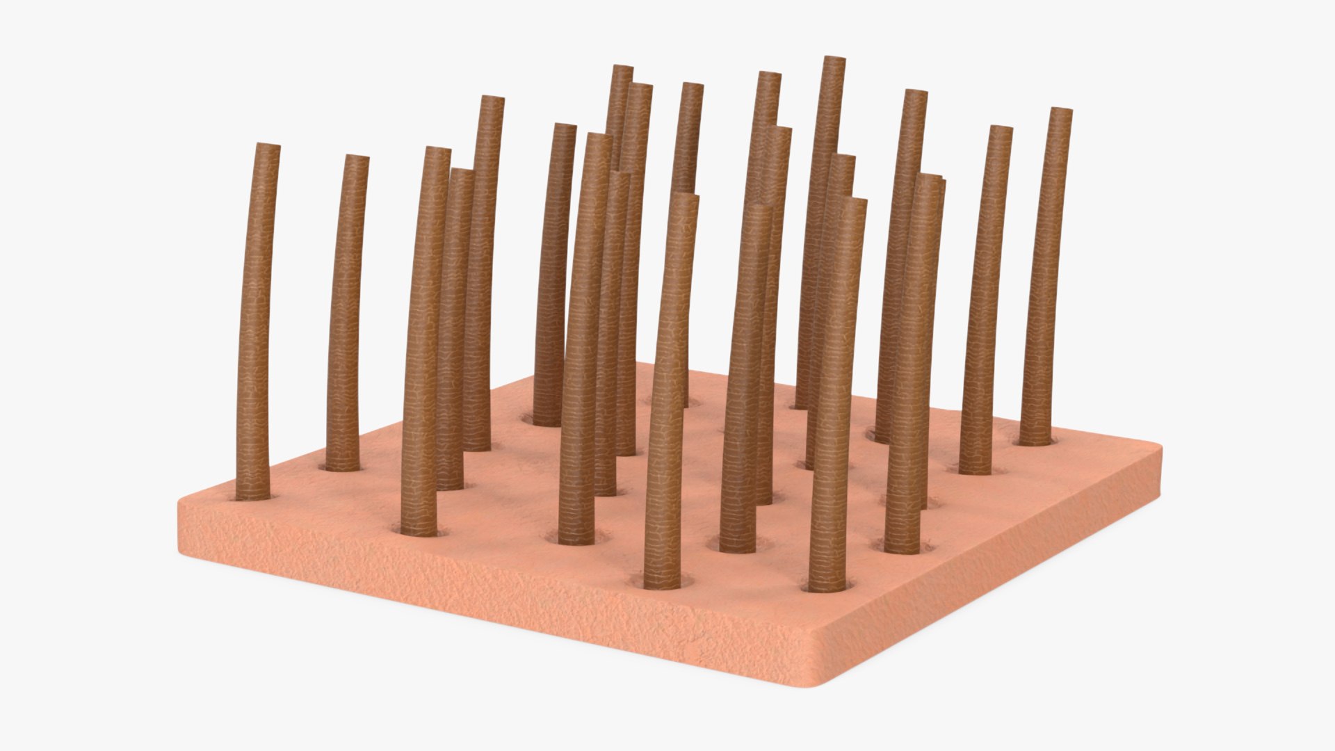 Brown Hair Under the Microscope 3D model preview