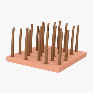 Brown Hair Under the Microscope 3D model