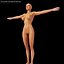 Modèle 3d féminin - proportions classiques