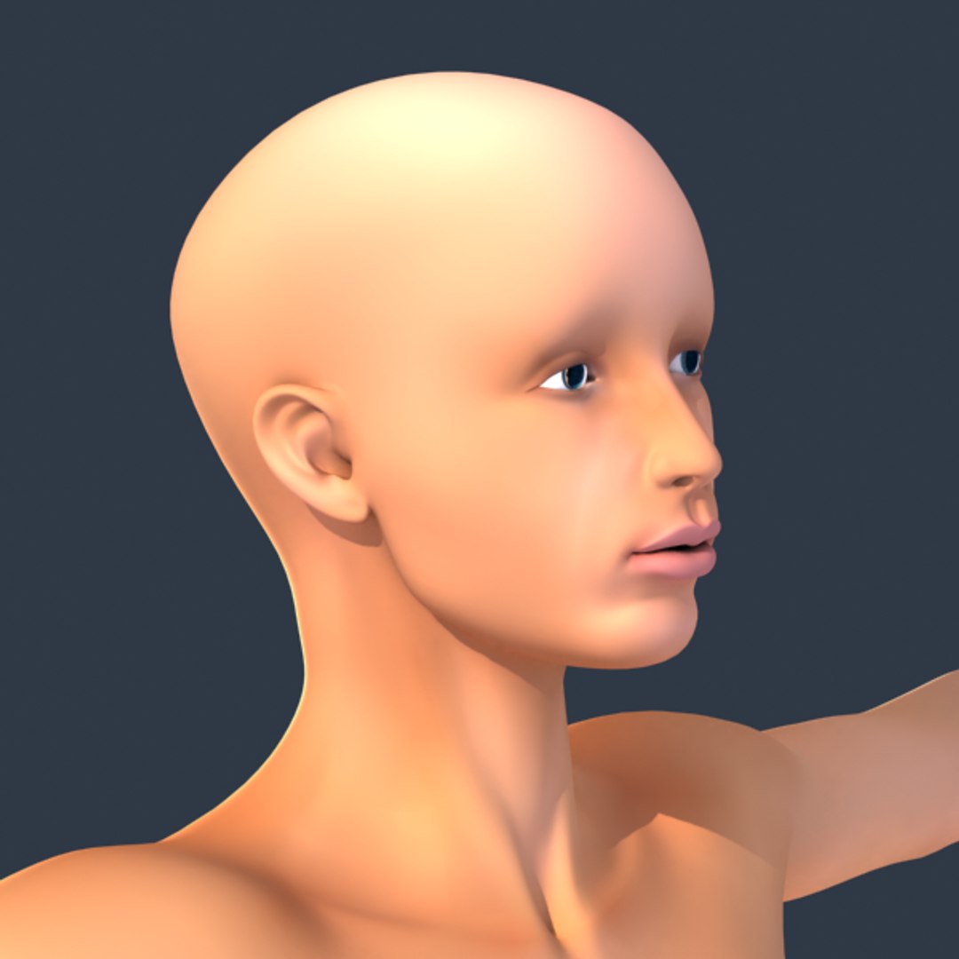 Female Realistic Proportions Body 3d Model