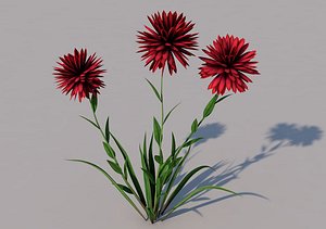 3D flower pisacan model