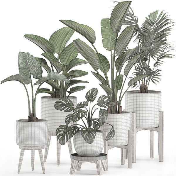 Decorative plants interior white 3D - TurboSquid 1566704