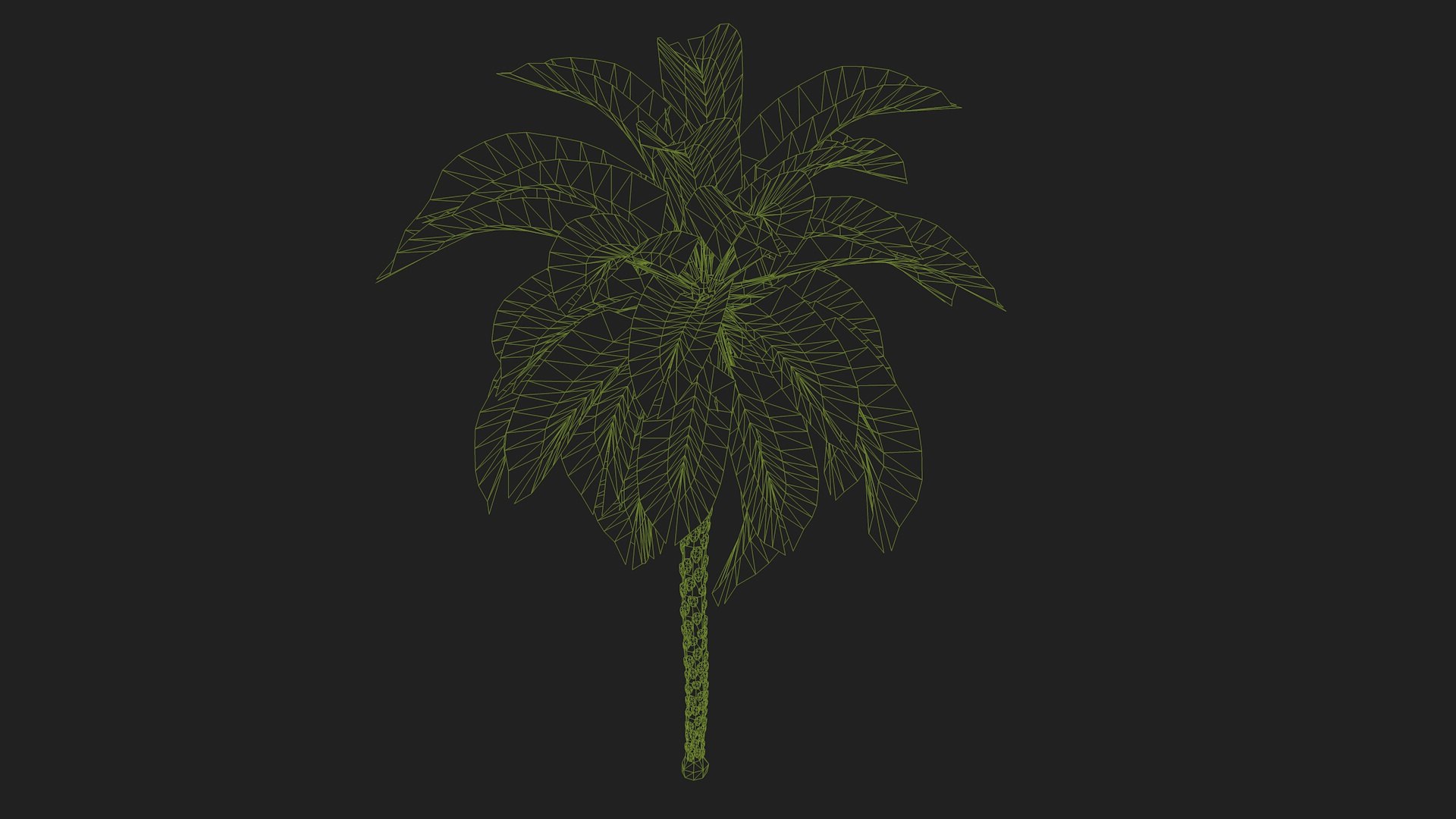 Palm Tree R10 model - TurboSquid 2054020
