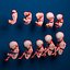 Human embryo development by 3DRivers