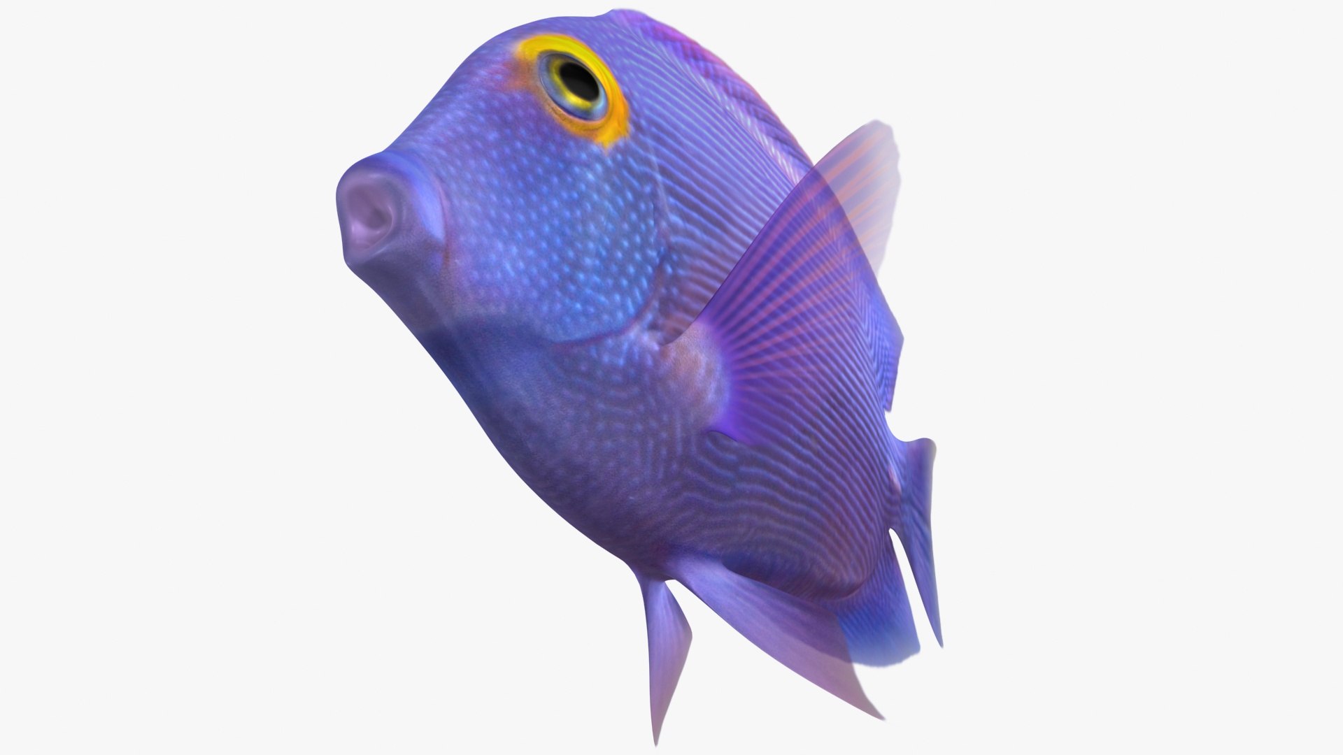 3D model kole tang rigged - TurboSquid 1510270