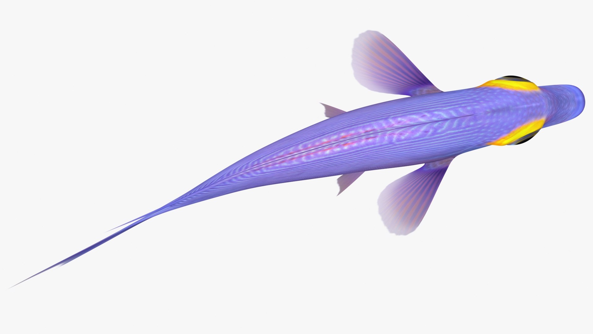 3D model kole tang rigged - TurboSquid 1510270