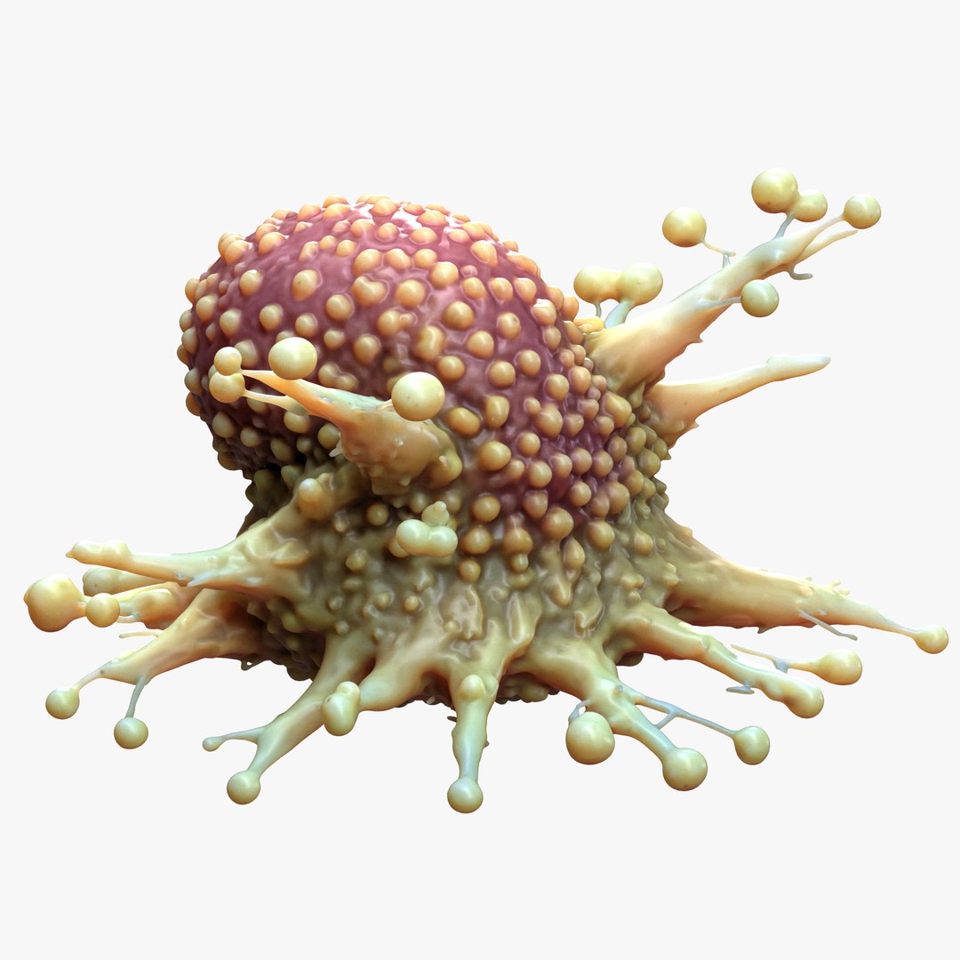 Cancer Cell Tumor Model - TurboSquid 2403799