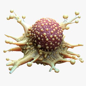 Cancer Cell Tumor model